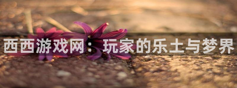 西西游戏网：玩家的乐土与梦界