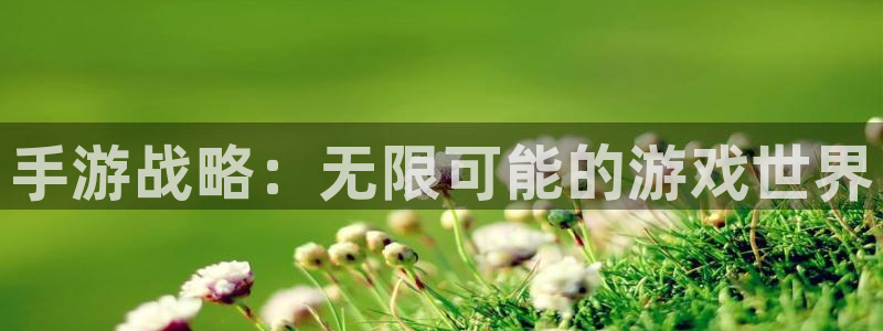 j9官方网站：手游战略：无限可能的游戏世界
